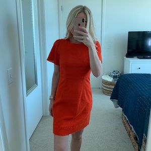 J. Crew Orange Flutter Sleeve Sheath Dress Size 2